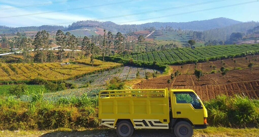 Soluciones innovadoras para optimizar rutas de transporte en Colombia